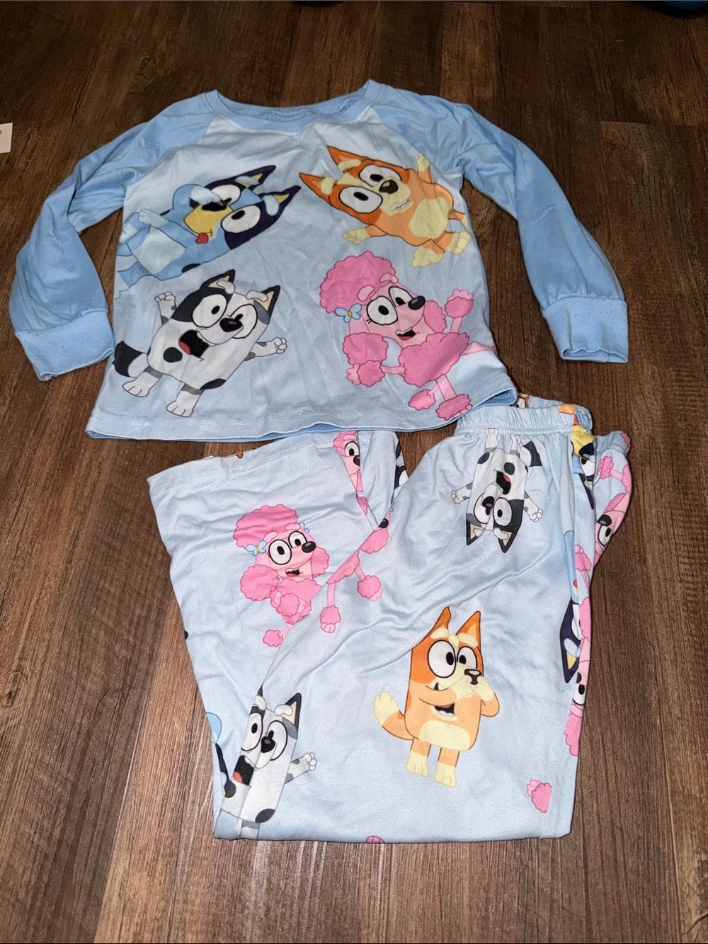 Girls Bluey 2 Piece Pajama Set Size 6 Super Soft